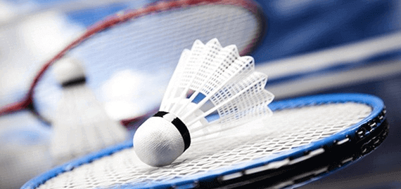 badminton Image